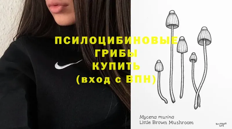 Галлюциногенные грибы Magic Shrooms  мега ссылка  Заволжск 